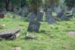 PICTURES/London - Kensal Green Cemetery and Catacombs/t_DSC03395.JPG